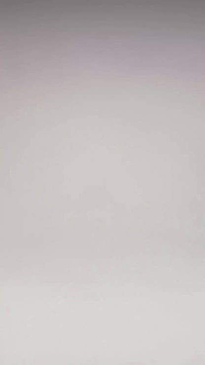 Original crocodile skin cowboy boot, Bely Herrante model